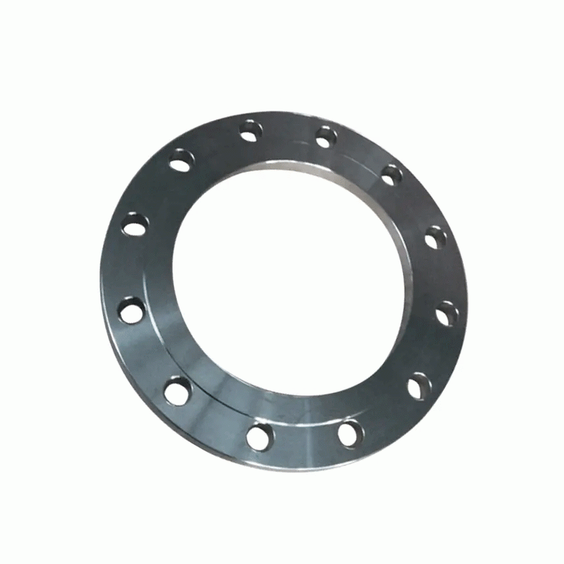 Stainless Steel 304L Flanges